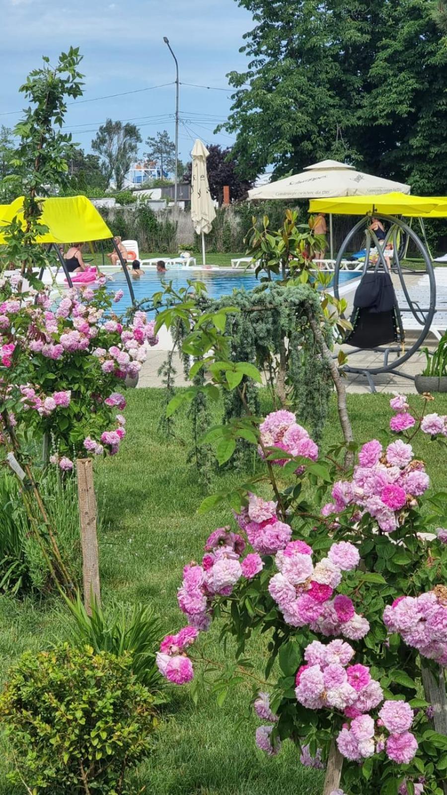 Hotel Iulia Resort Venus Exteriör bild
