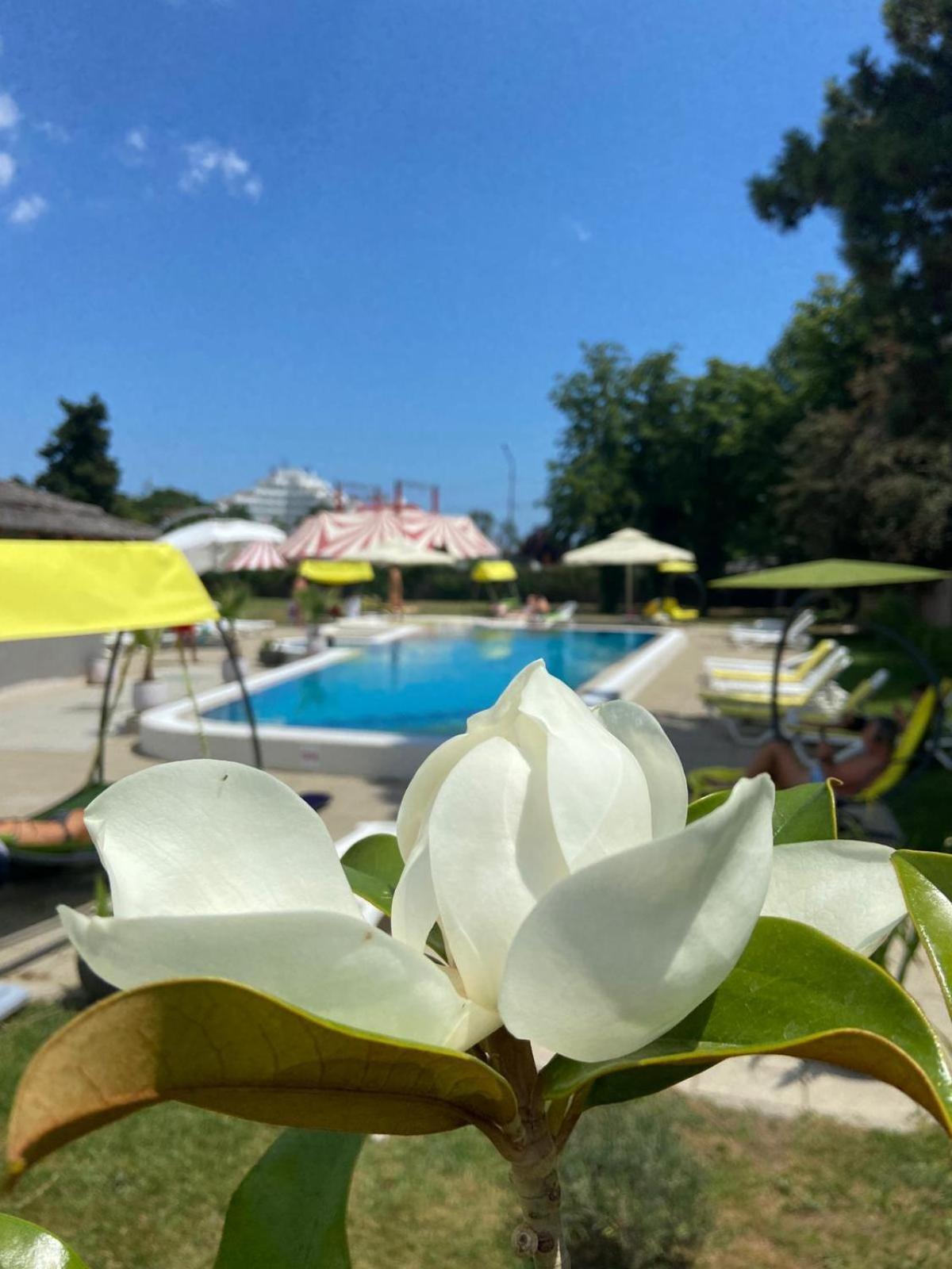 Hotel Iulia Resort Venus Exteriör bild